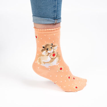 Wrendale Designs 'Diet Starts Tomorrow' Hamster Socks| Online For Equine