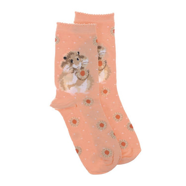 Wrendale Designs 'Diet Starts Tomorrow' Hamster Socks| Online For Equine