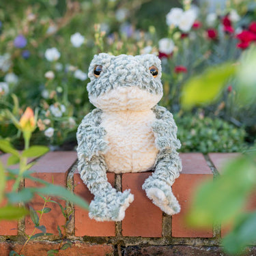 Wrendale Designs 'Elliott Junior' Frog Plush Toy| Online For Equine