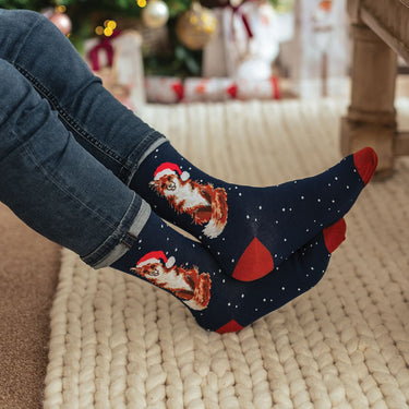 Wrendale Designs 'Festive Fox' Fox Men'S Socks| Online For Equine