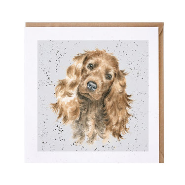 Wrendale Designs 'Fudge' Cocker Spaniel Card| Online For Equine