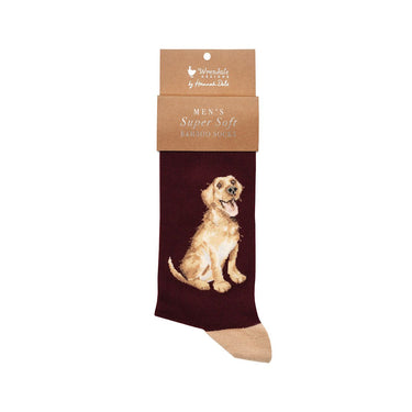 Wrendale Designs 'Good As Gold' Labrador Men'S Socks| Online For Equine