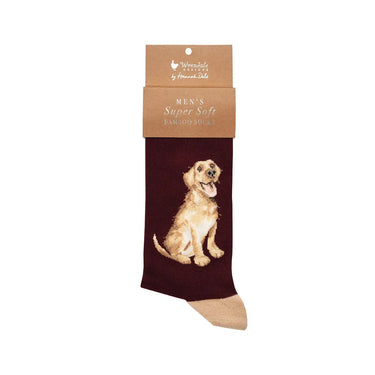 Wrendale Designs 'Good As Gold' Labrador Men'S Socks| Online For Equine
