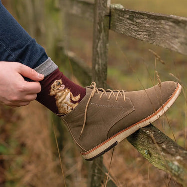 Wrendale Designs 'Good As Gold' Labrador Men'S Socks| Online For Equine