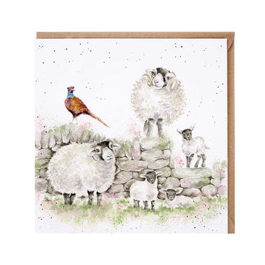 Wrendale Designs 'Green Pastures' Sheep Card| Online For Equine