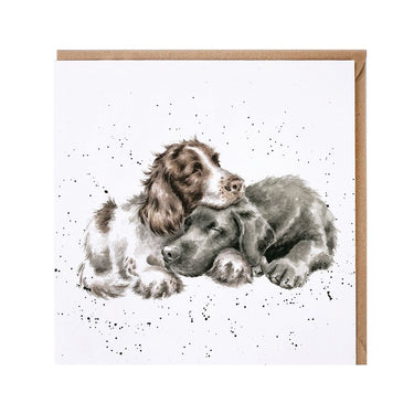 Wrendale Designs 'Growing Old Together' Spaniel & Labrador Card| Online For Equine