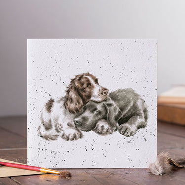 Wrendale Designs 'Growing Old Together' Spaniel & Labrador Card| Online For Equine