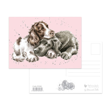 Wrendale Designs 'Growing Old Together' Spaniel & Labrador Postcard| Online For Equine