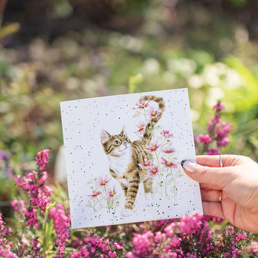Wrendale Designs 'Harmony' Cat Card| Online For Equine
