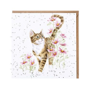 Wrendale Designs 'Harmony' Cat Card| Online For Equine