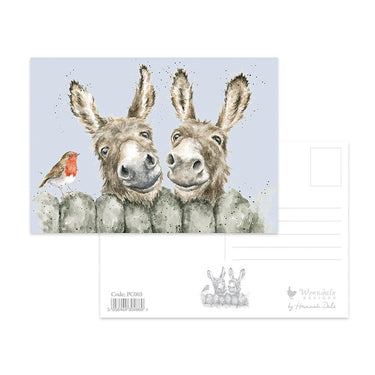 Wrendale Designs 'Hee Haw' Donkey Postcard| Online For Equine