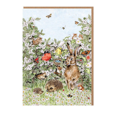 Wrendale Designs 'Hidden In The Hedgerow' Nature Notecard Pack| Online For Equine
