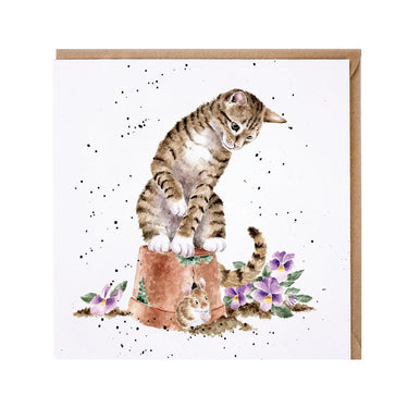 Wrendale Designs 'Hide And Squeak' Cat Card| Online For Equine