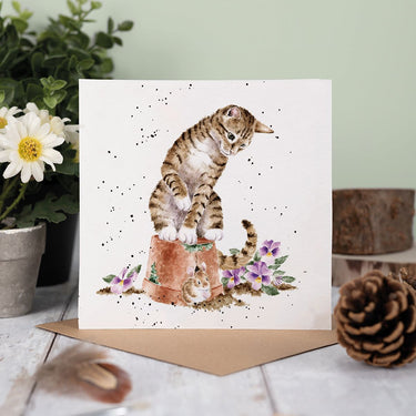 Wrendale Designs 'Hide And Squeak' Cat Card| Online For Equine