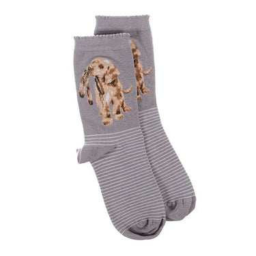 Wrendale Designs 'Hopeful' Labrador Socks| Online For Equine