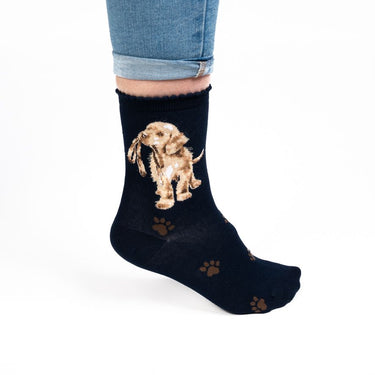 Wrendale Designs 'Hopeful' Labrador Socks| Online For Equine