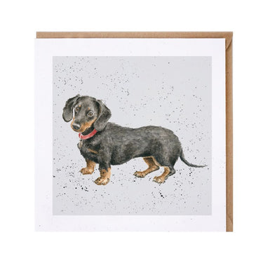 Wrendale Designs 'Hugo' Dachshund Card| Online For Equine