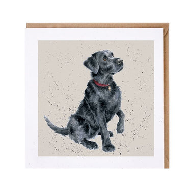 Wrendale Designs 'Jack' Labrador Card| Online For Equine