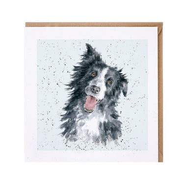 Wrendale Designs 'Jess' Border Collie Card| Online For Equine