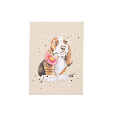 Wrendale Designs 'Just For You' Basset Hound A6 Notebook| Online For Equine