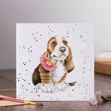 Wrendale Designs 'Just For You' Basset Hound Card| Online For Equine