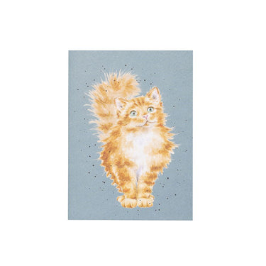 Wrendale Designs 'Just Purrr-Fect' Cat A6 Notebook| Online For Equine