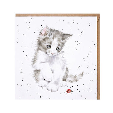 Wrendale Designs 'Ladybird' Cat Card| Online For Equine