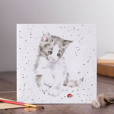 Wrendale Designs 'Ladybird' Cat Card| Online For Equine