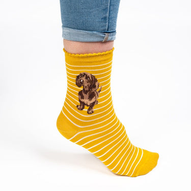 Wrendale Designs 'Little One' Dachshund Socks| Online For Equine