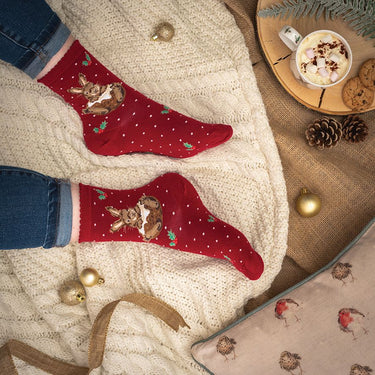 Wrendale Designs 'Little Pudding' Rabbit Socks| Online For Equine