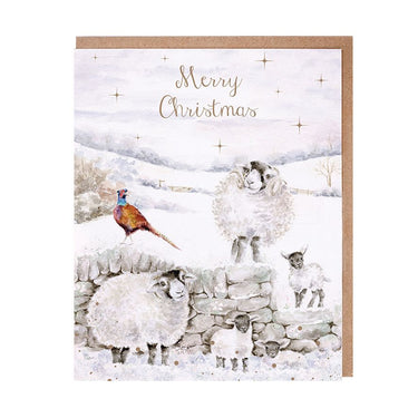 Wrendale Designs 'Merry Christmas To Ewe' Sheep Christmas Card Pack| Online For Equine