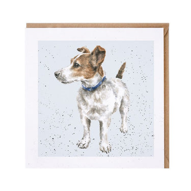 Wrendale Designs 'Monty' Jack Russell Card| Online For Equine