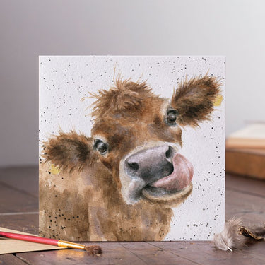 Wrendale Designs 'Mooooo' Cow Card| Online For Equine