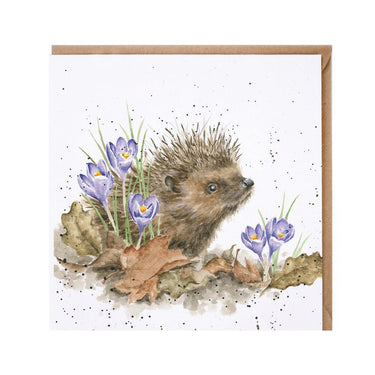 Wrendale Designs 'New Beginnings' Hedgehog Card| Online For Equine