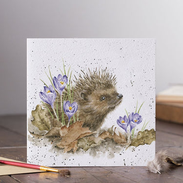 Wrendale Designs 'New Beginnings' Hedgehog Card| Online For Equine
