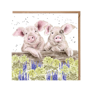 Wrendale Designs 'Nosy Neigh-Boars' Pig Card| Online For Equine