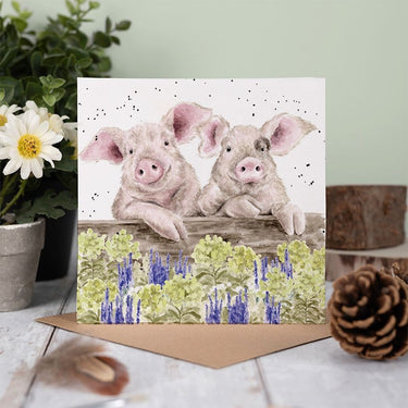 Wrendale Designs 'Nosy Neigh-Boars' Pig Card| Online For Equine