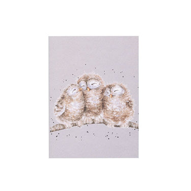 Wrendale Designs 'Owlets' Owl A6 Notebook| Online For Equine