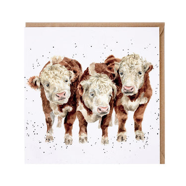 Wrendale Designs 'Paddy, Percy And Pedro' Cow Card| Online For Equine