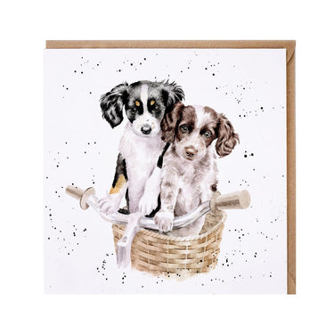 Wrendale Designs 'Paws And Pedals' Dog Card| Online For Equine