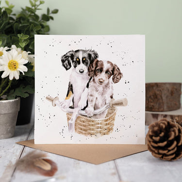 Wrendale Designs 'Paws And Pedals' Dog Card| Online For Equine
