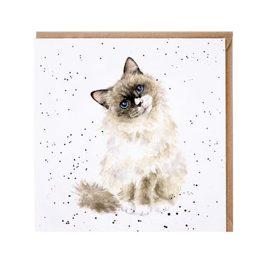 Wrendale Designs 'Paws For Thought' Cat Card| Online For Equine