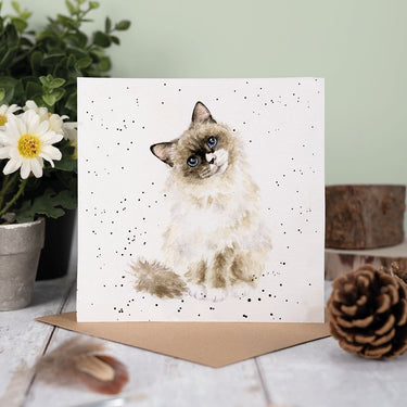 Wrendale Designs 'Paws For Thought' Cat Card| Online For Equine