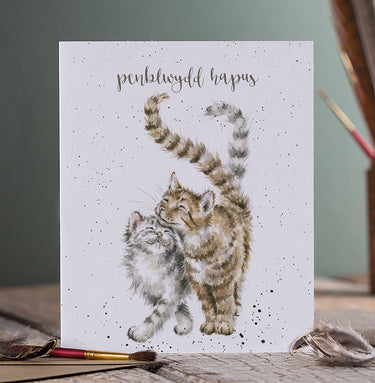 Wrendale Designs 'Penblwydd Hapus' Cath Cerdyn (Welsh)| Online For Equine