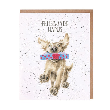 Wrendale Designs 'Penblwydd Hapus' Ci Cerdyn (Welsh)| Online For Equine