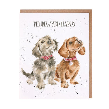 Wrendale Designs 'Penblwydd Hapus' Dachshund Cerdyn (Welsh)| Online For Equine