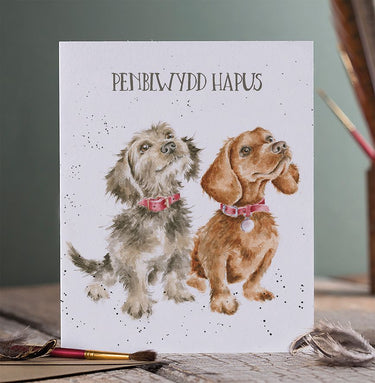 Wrendale Designs 'Penblwydd Hapus' Dachshund Cerdyn (Welsh)| Online For Equine