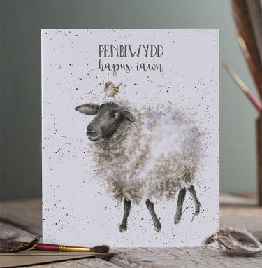 Wrendale Designs 'Penblwydd Hapus' Defaid Cerdyn (Welsh)| Online For Equine