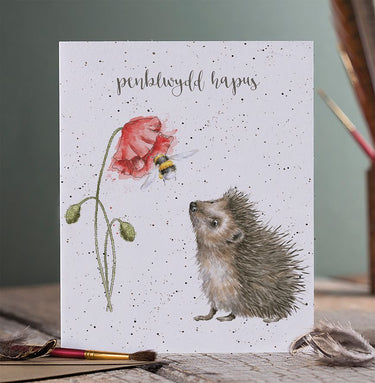 Wrendale Designs 'Penblwydd Hapus' Draenog Cerdyn (Welsh)| Online For Equine