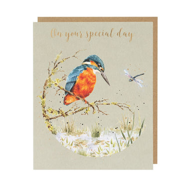 Wrendale Designs 'Pond Dipping' Kingfisher Birthday Card| Online For Equine